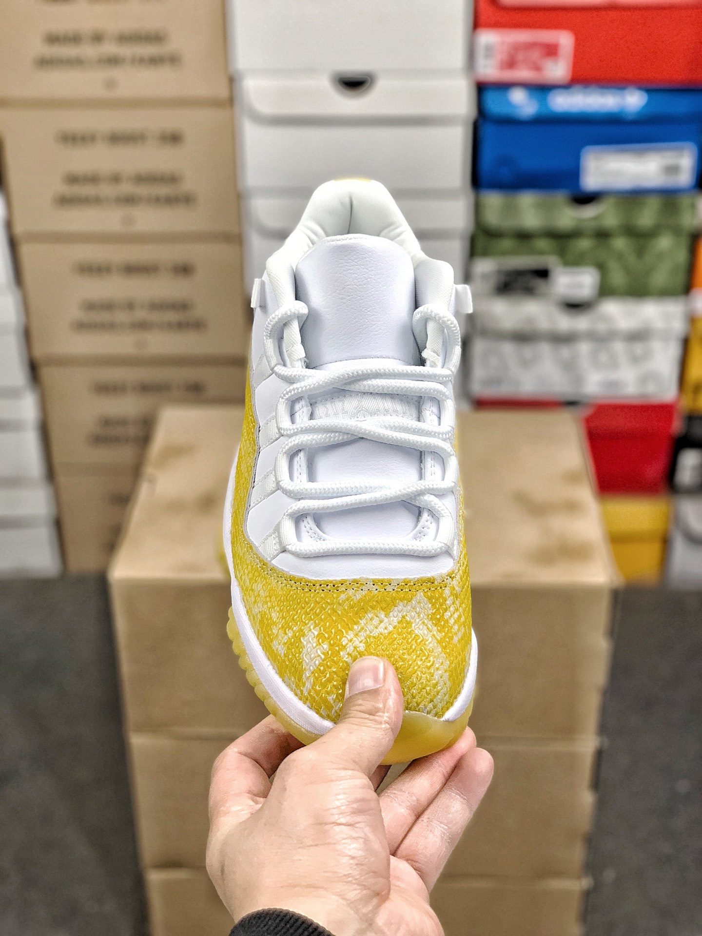 Nike Jordan shoe